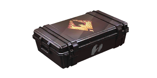Gloves Case | Reforged