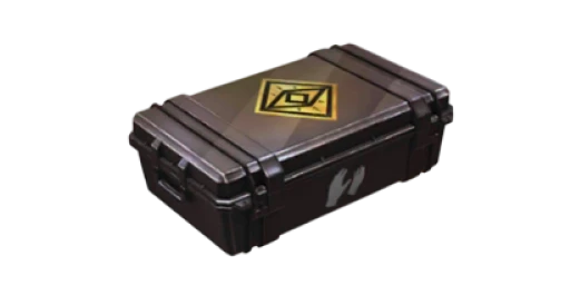 Gloves Case | Gambit