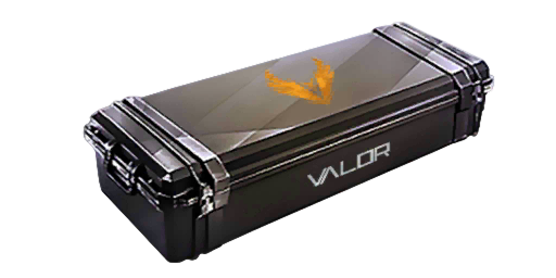 Case | Valor